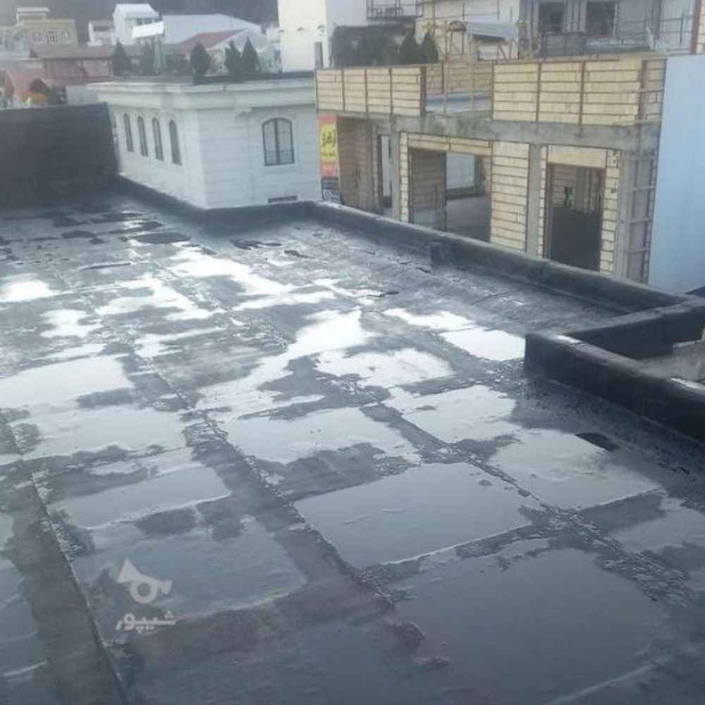 1754222465435.webp 1754222465435.webp